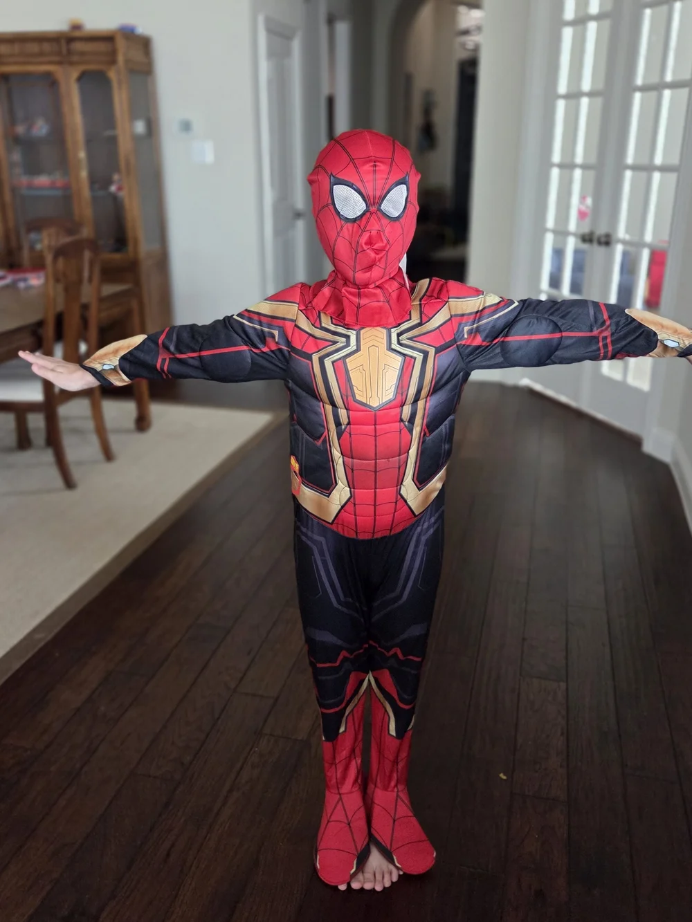 Iron Spider Man Costume Halloween